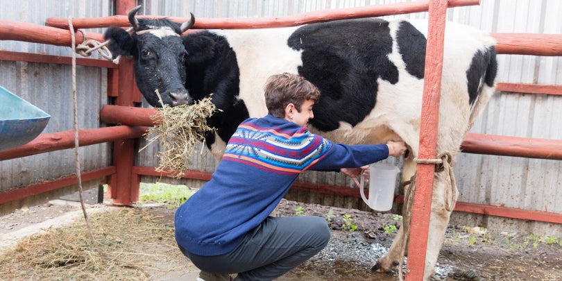 Pressemitteilung vom 01. April 2022 (Aprilscherz)